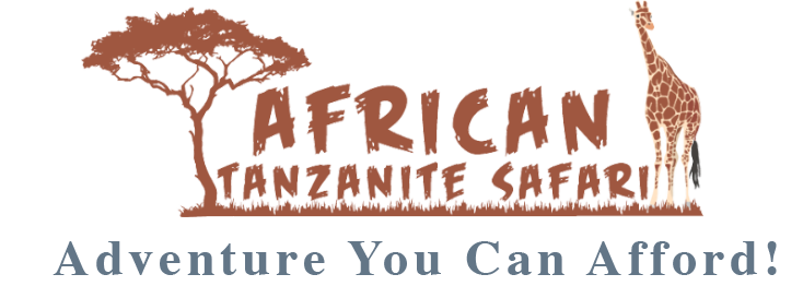 African Tanzanite Safari