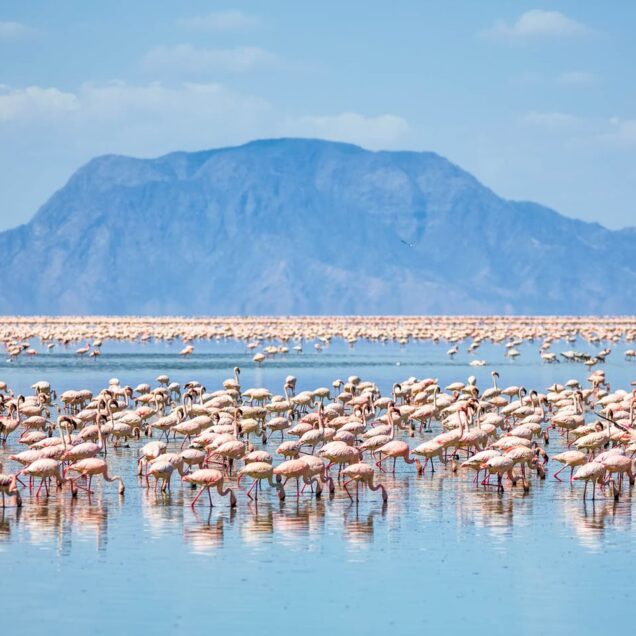 Lake Natron