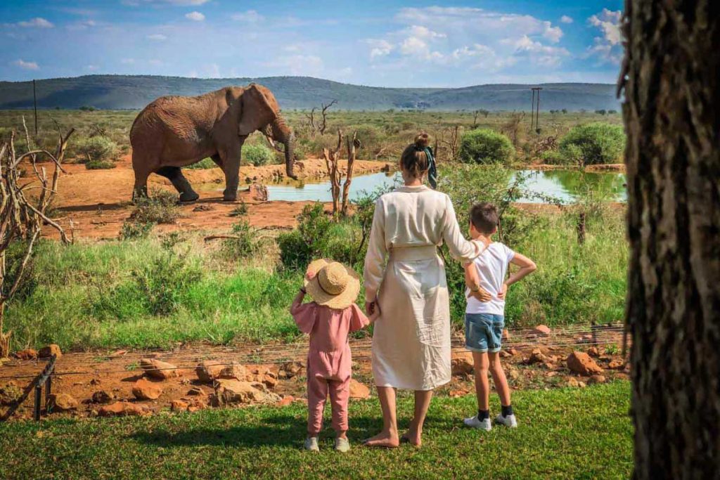 Tanzania Safari Holiday African Tanzanite Safari