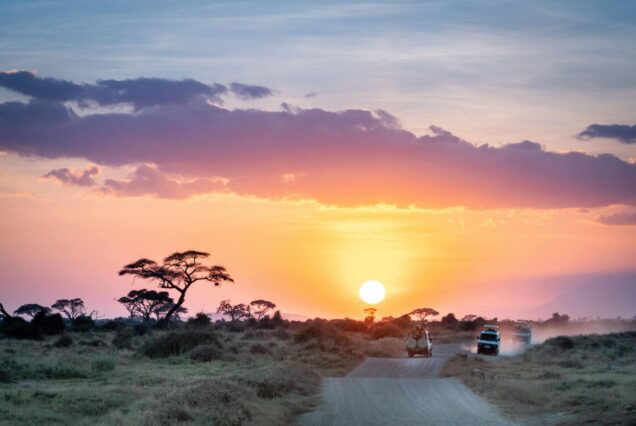 3 Days Serengeti National Park Fly In Short Tanzania Safari - 5 Nights Luxury Tanzania Safari / Fly Back from Serengeti.