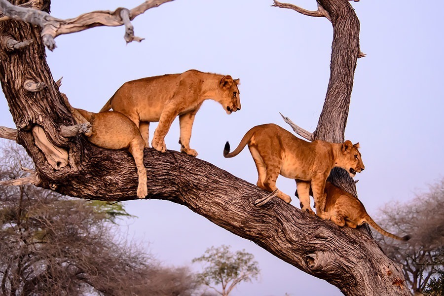 LAKE-MANYARA